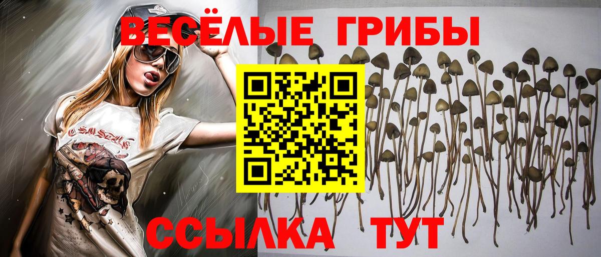 Сосновый Бор  даркнет сайт  Вход с VPN  Псилоцибиновые грибы Magic Shrooms 