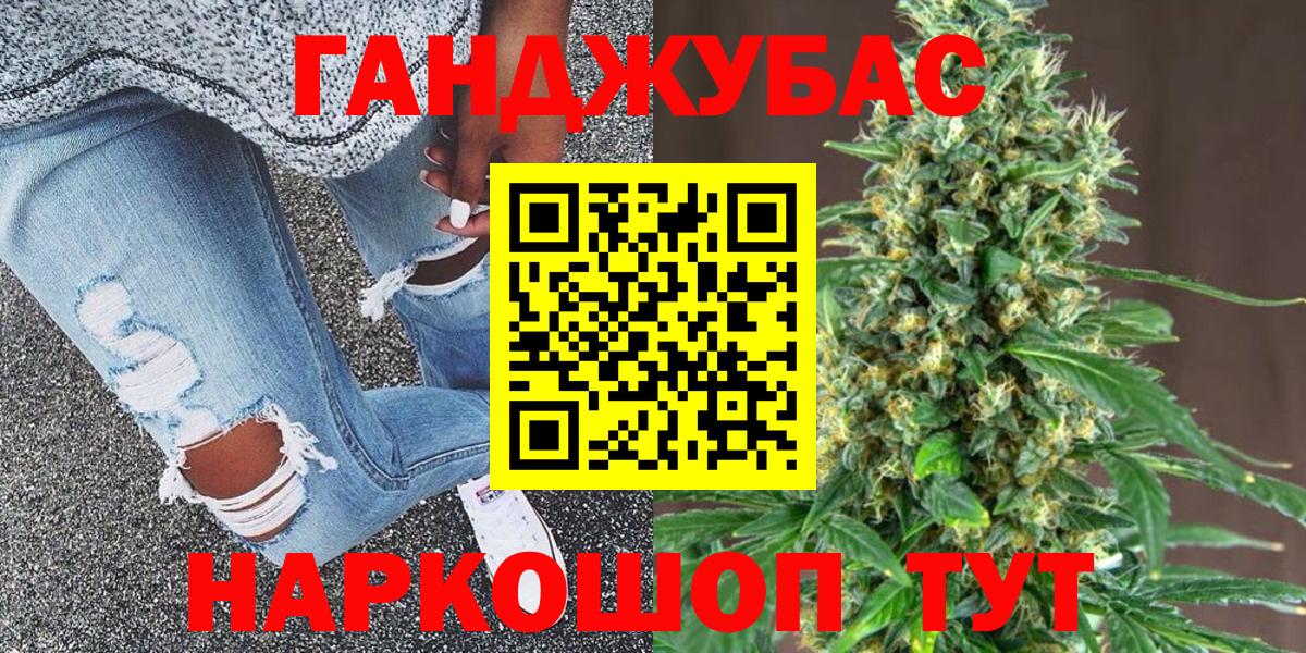 Бошки Шишки планчик Сосновый Бор